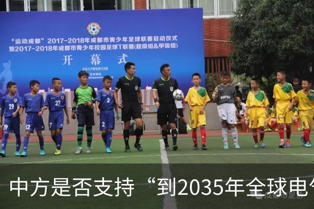 中方是否支持“到2035年全球电气化率35%”目标？最新回应