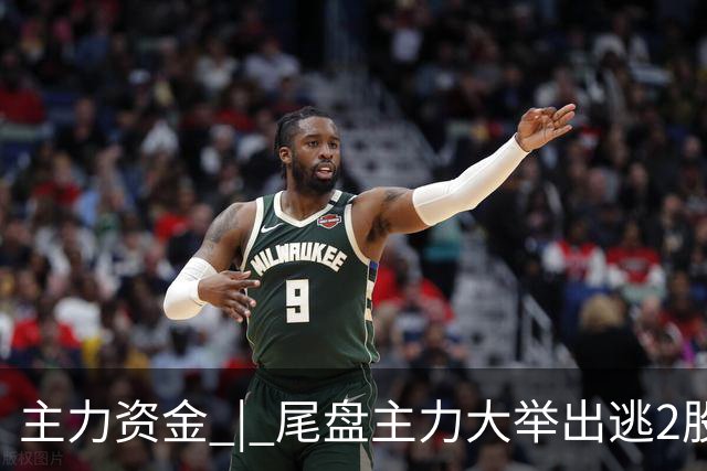 主力资金 | 尾盘主力大举出逃2股