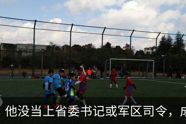 他没当上省委书记或军区司令，成了工厂经理：和平了，专心搞经济建设