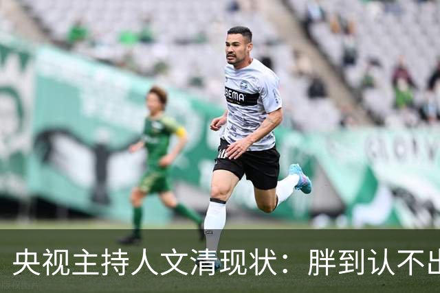 央视主持人文清现状：胖到认不出，在桂林陪读，老公在澳洲当院长