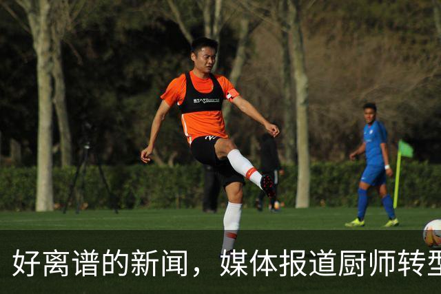 好离谱的新闻，媒体报道厨师转型做上门私厨月接单仅50，年利润就高达40万元！