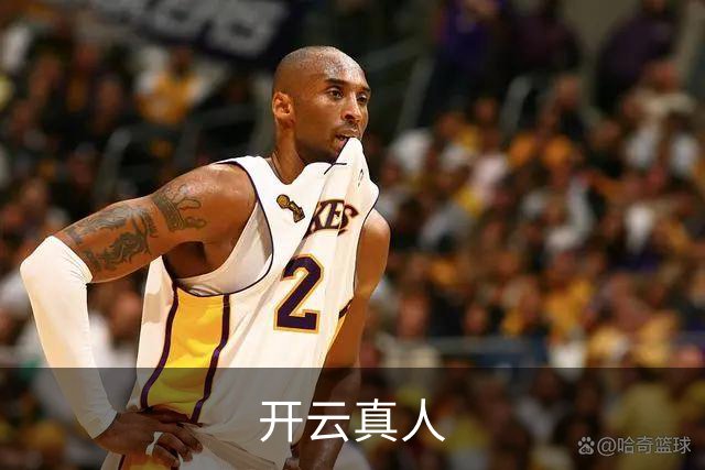 开云真人公司简介