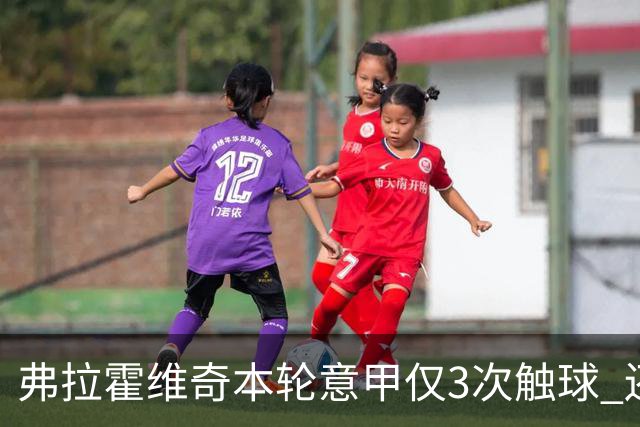 弗拉霍维奇本轮意甲仅3次触球 还经常抱怨队友