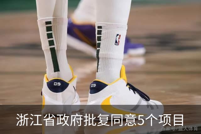 浙江省政府批复同意5个项目