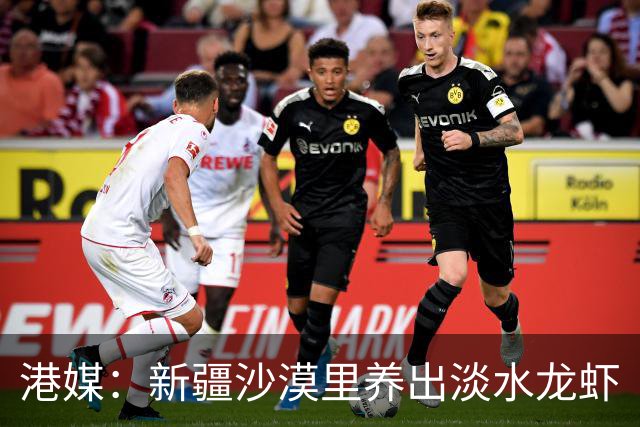 港媒：新疆沙漠里养出淡水龙虾