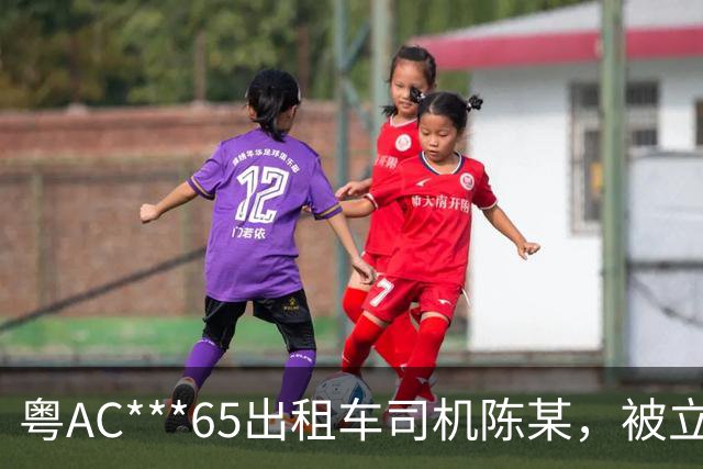 粤AC***65出租车司机陈某，被立案移送公安调查处理；广州通报：其搭载外籍乘客从白云机场到惠州，索取车费高出近400元，还涉其他违规行为