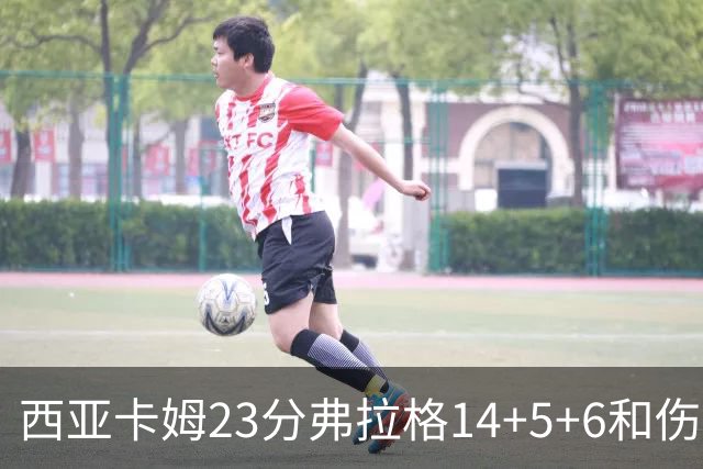 西亚卡姆23分弗拉格14+5+6&伤退 独行侠轻取步行者