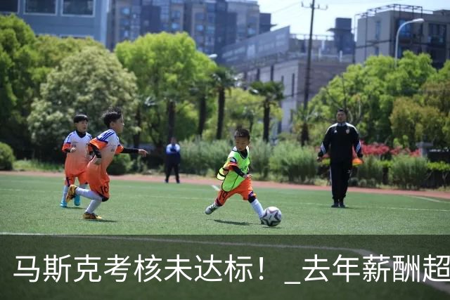 马斯克考核未达标！ 去年薪酬超 1 万亿元 实际到手为 0