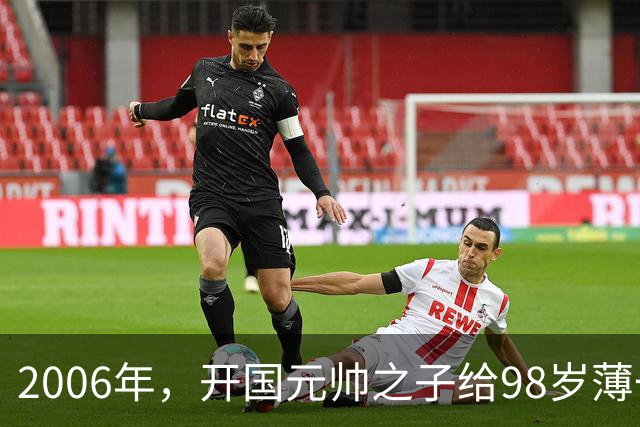 2006年，开国元帅之子给98岁薄一波贺寿，席间说道：您救过我的命