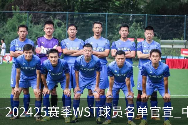 2024/25赛季WST球员名单官宣 中国军团共26人出战